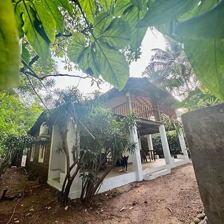 The Sunset Chalet Anjuna Exterior photo